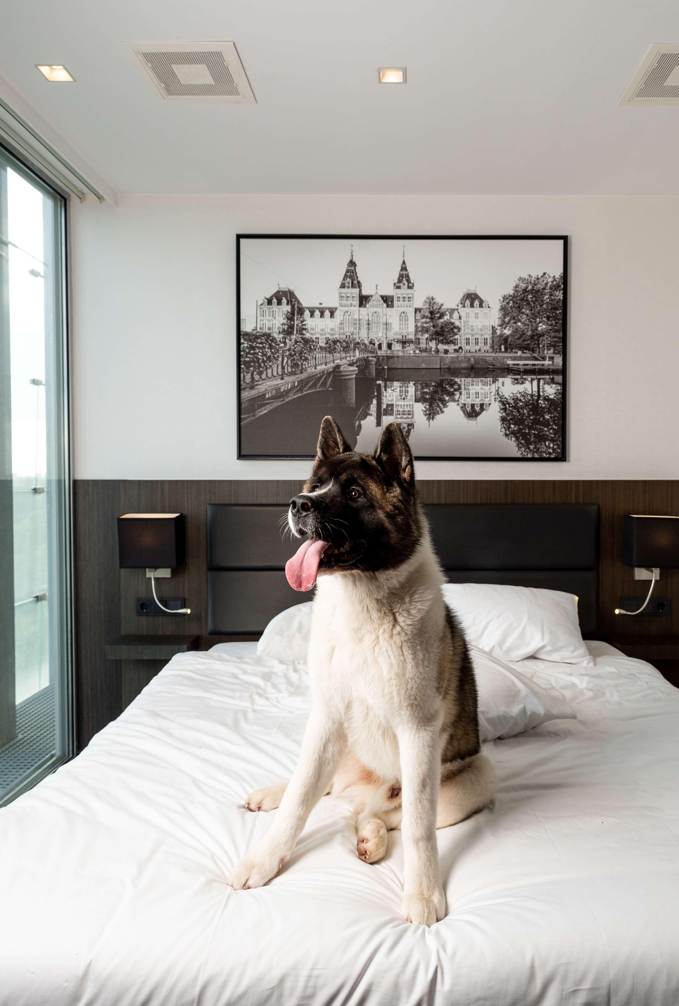 Radisson Hotel And Suites Amsterdam South מראה חיצוני תמונה
